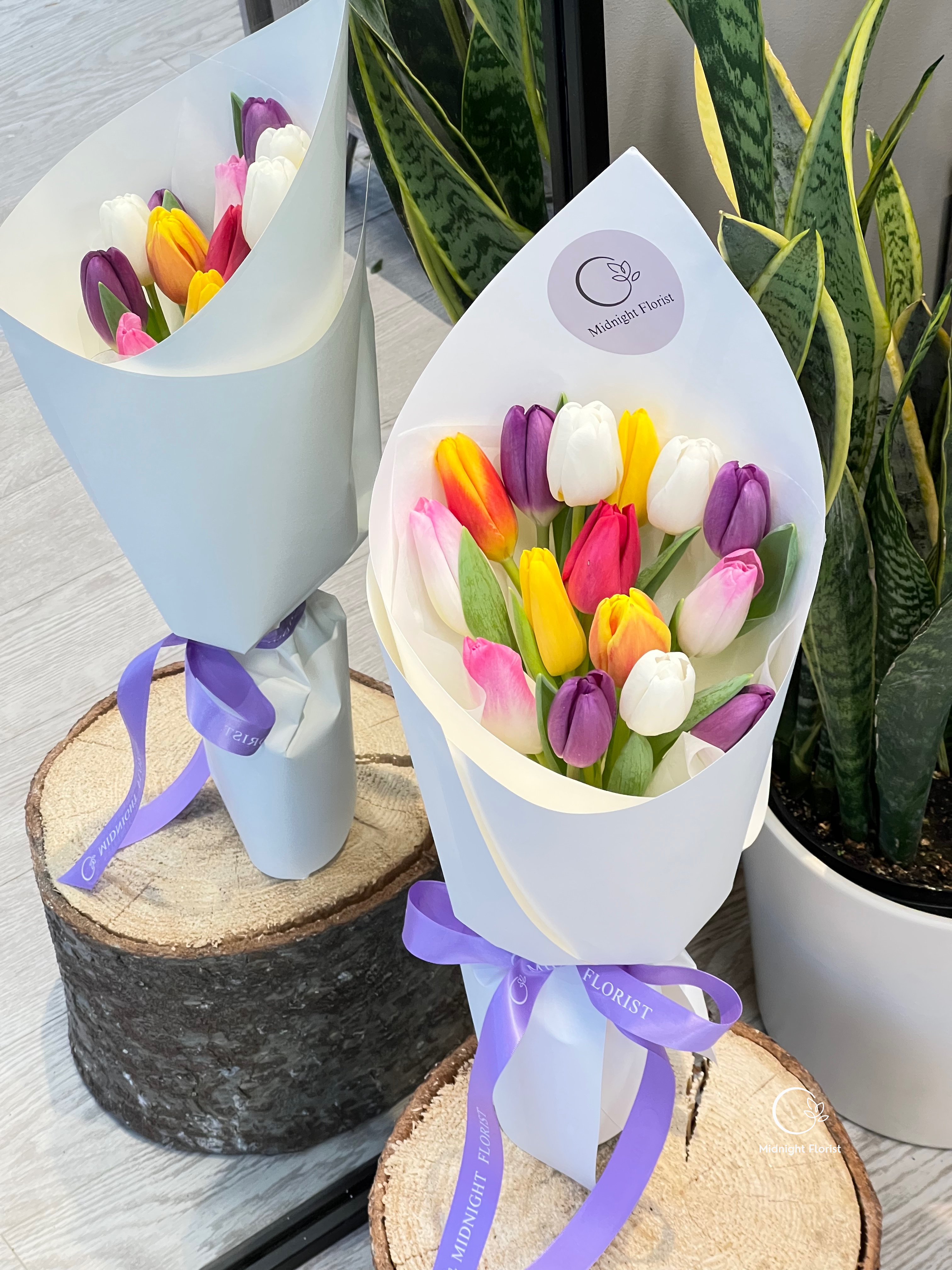 Tulip Pop - 15 stems