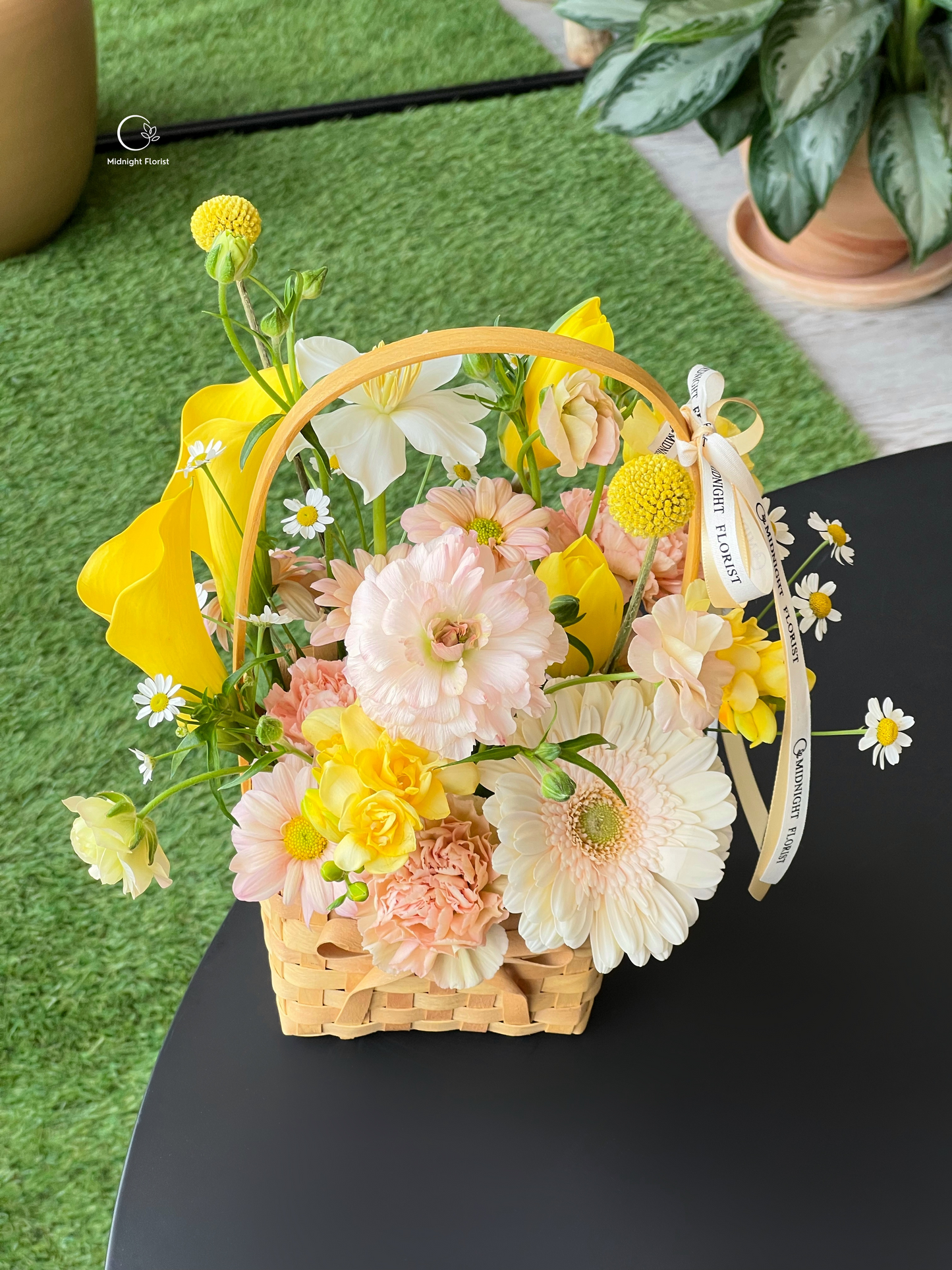 Sunlit Meadow (arrangement)