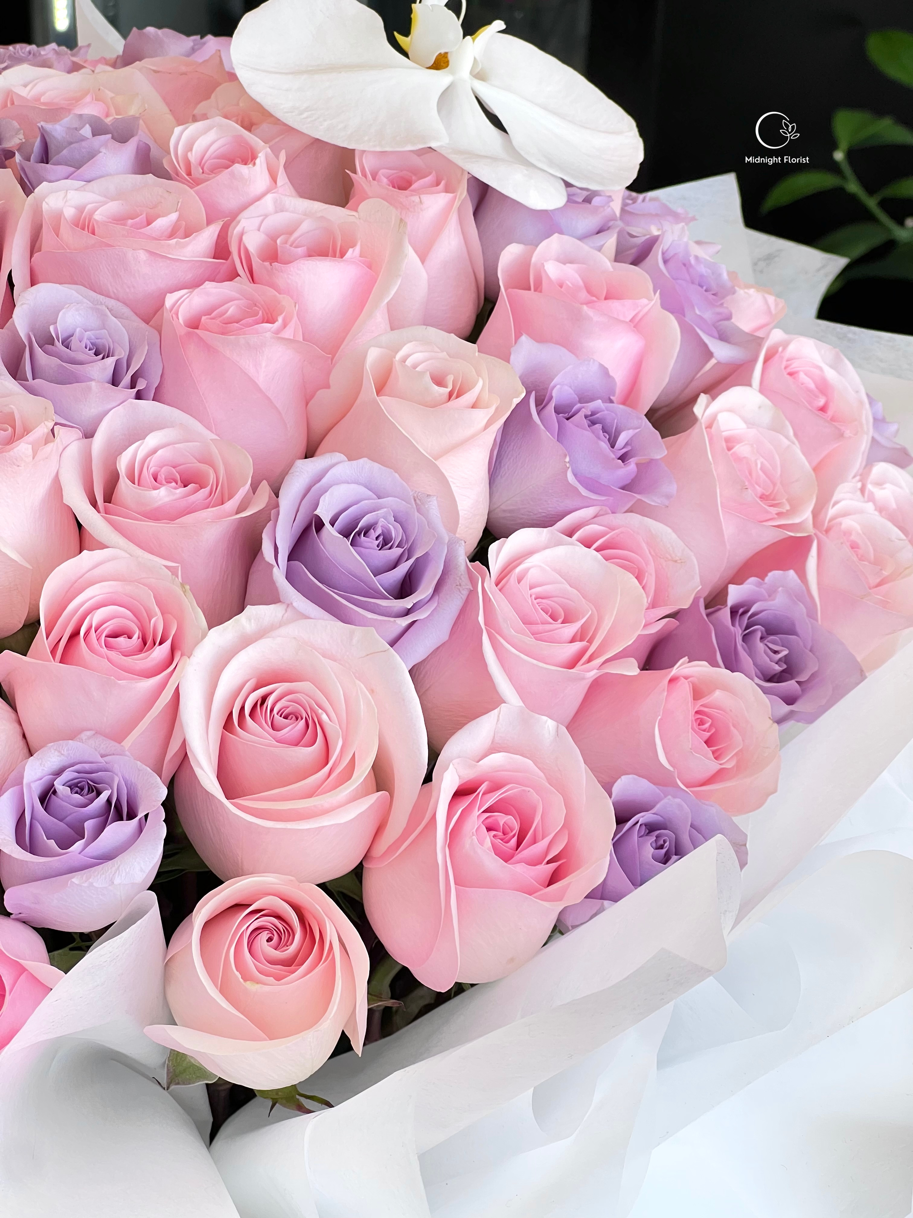 Pastel Dreams
