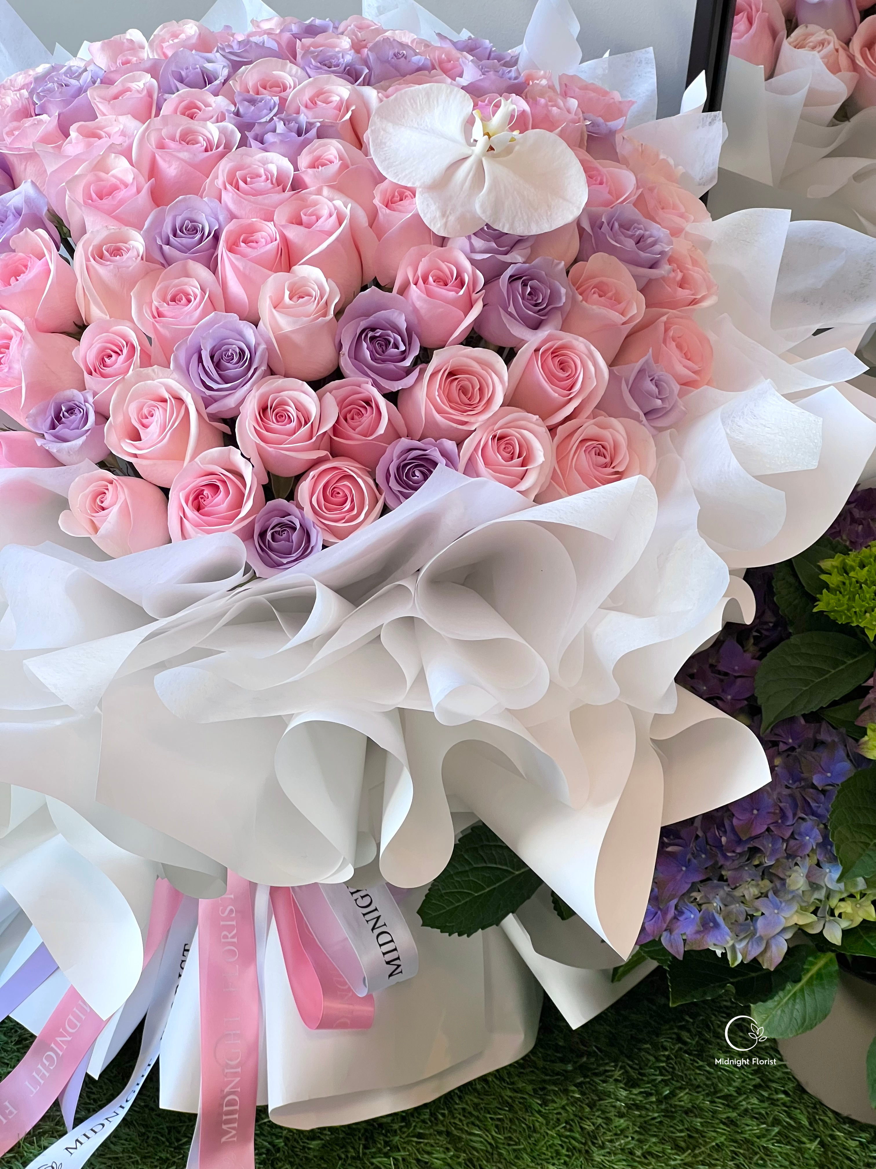 Pastel Dreams