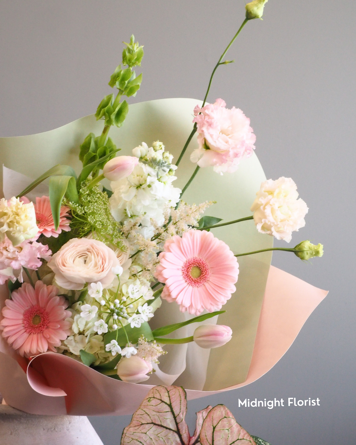 Midnight Gift Subscription