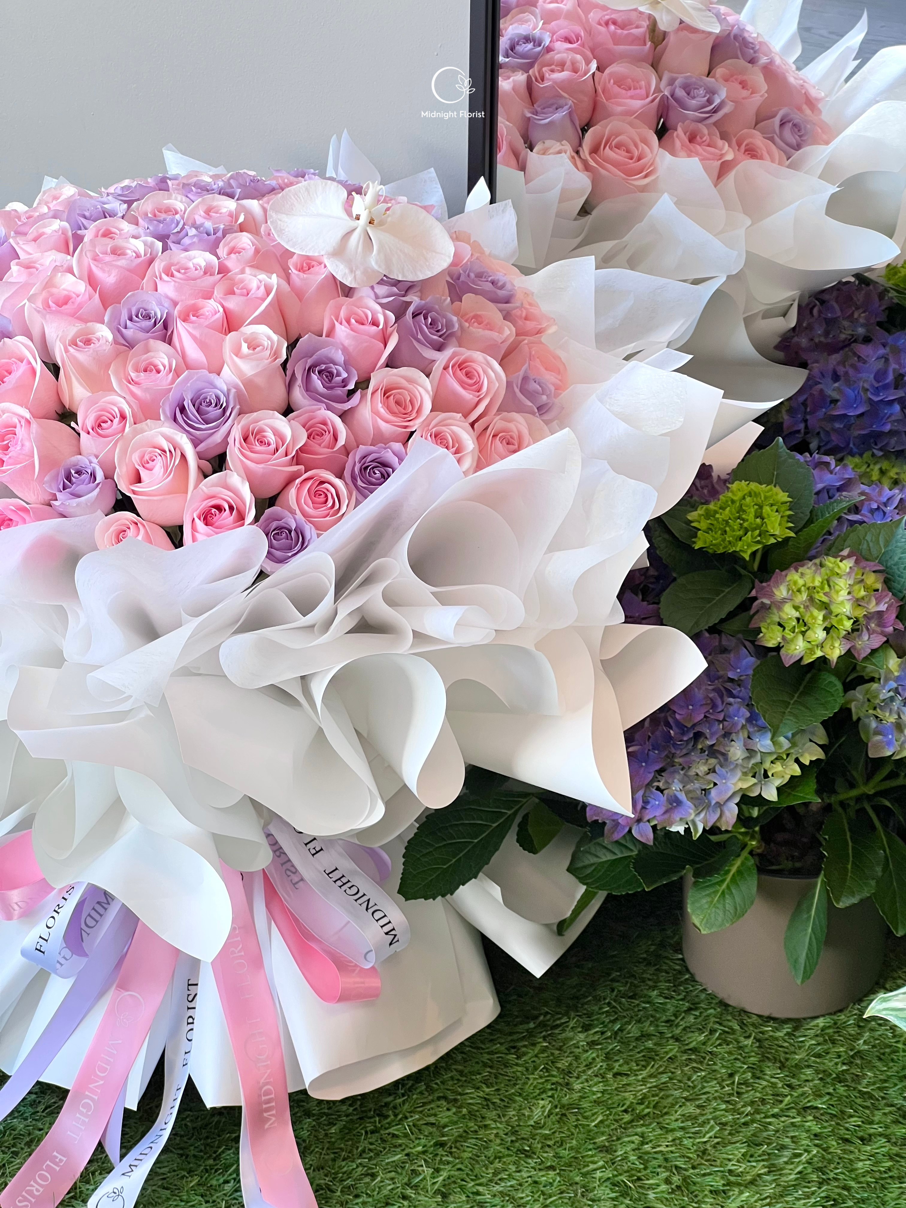 Pastel Dreams