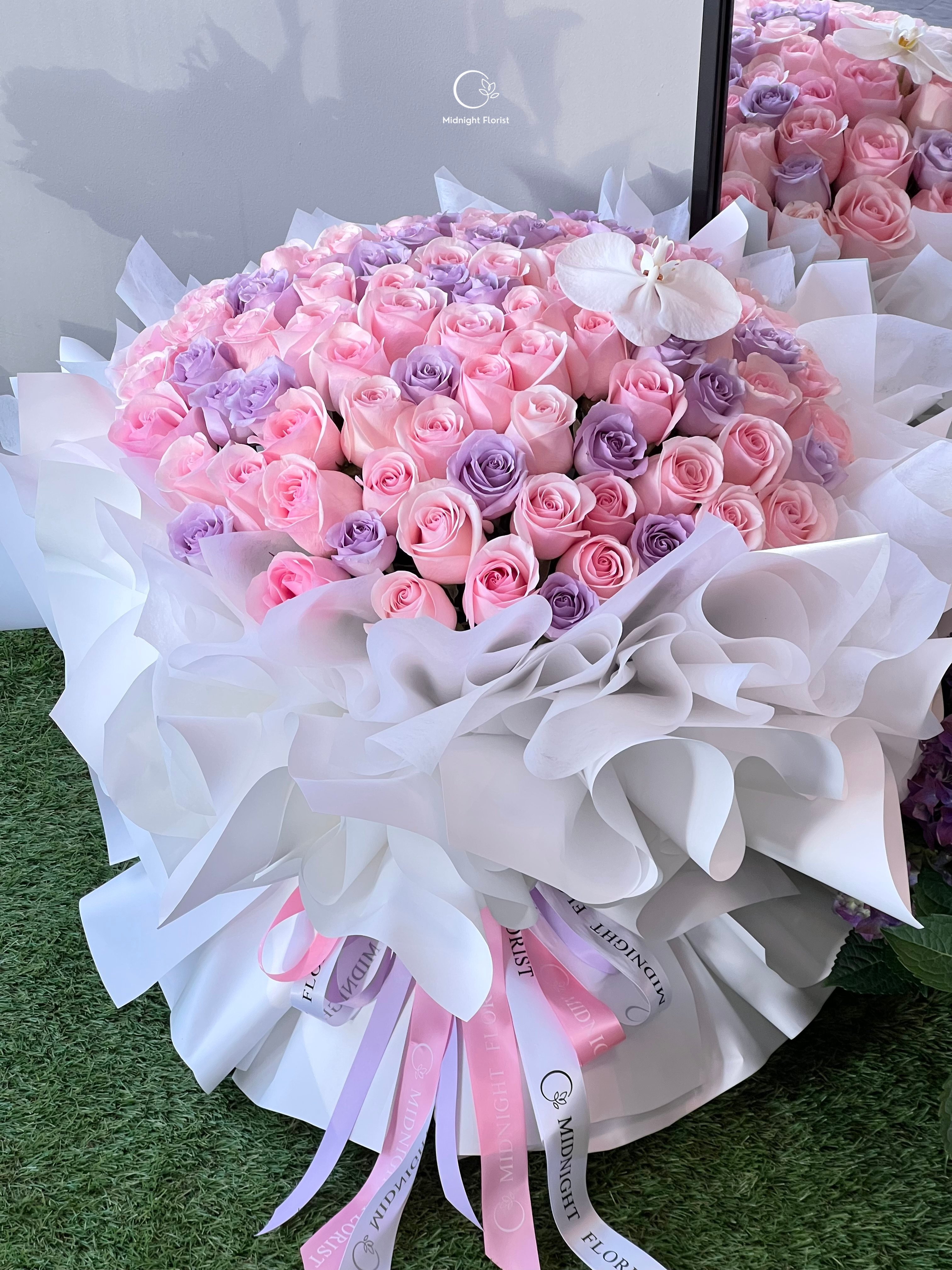 Pastel Dreams