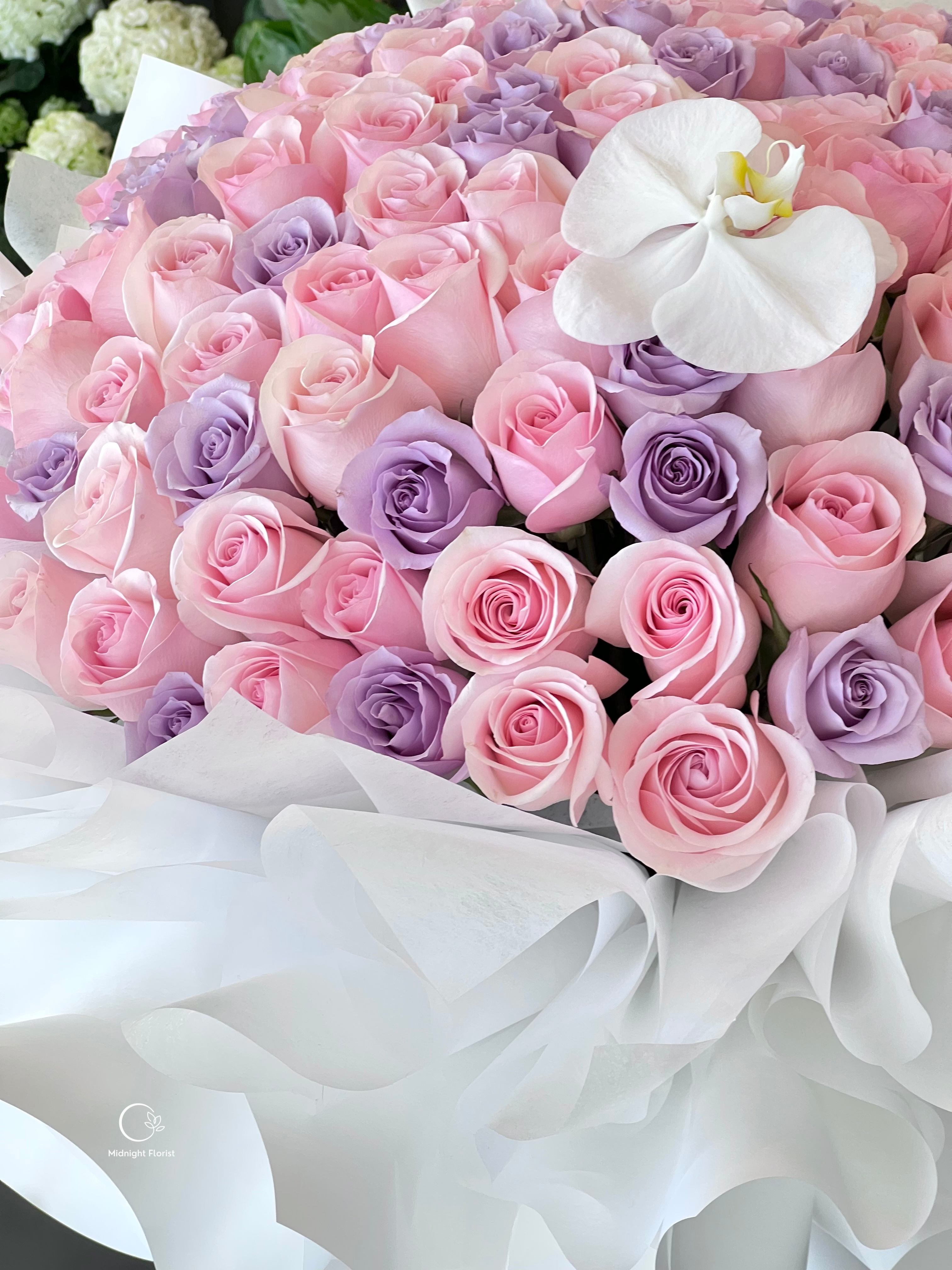 Pastel Dreams
