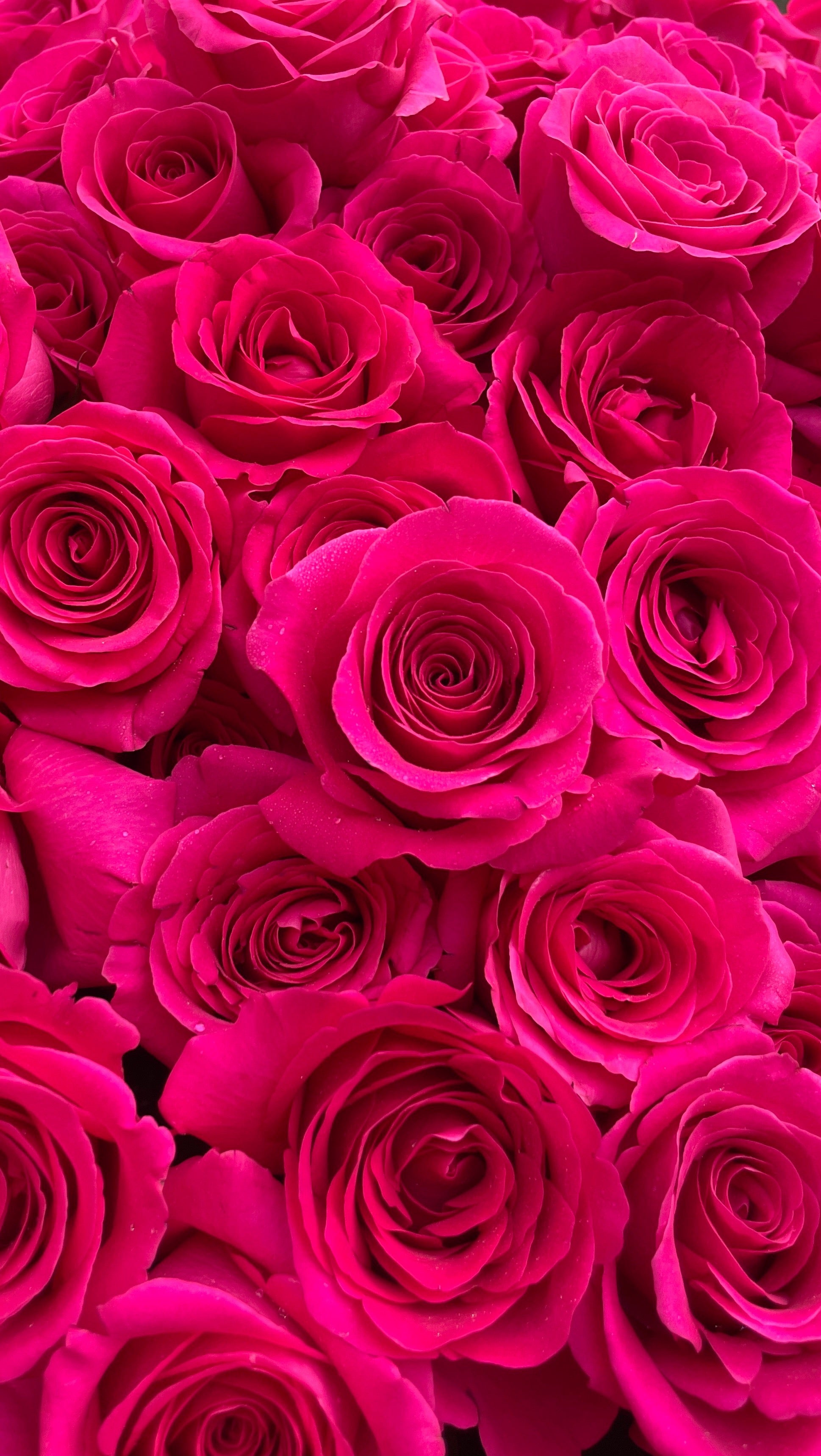 Written in the star*