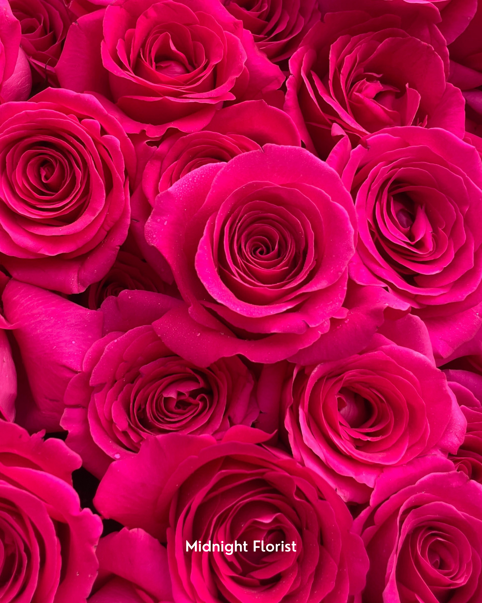 Pink Letter (12/22 roses)