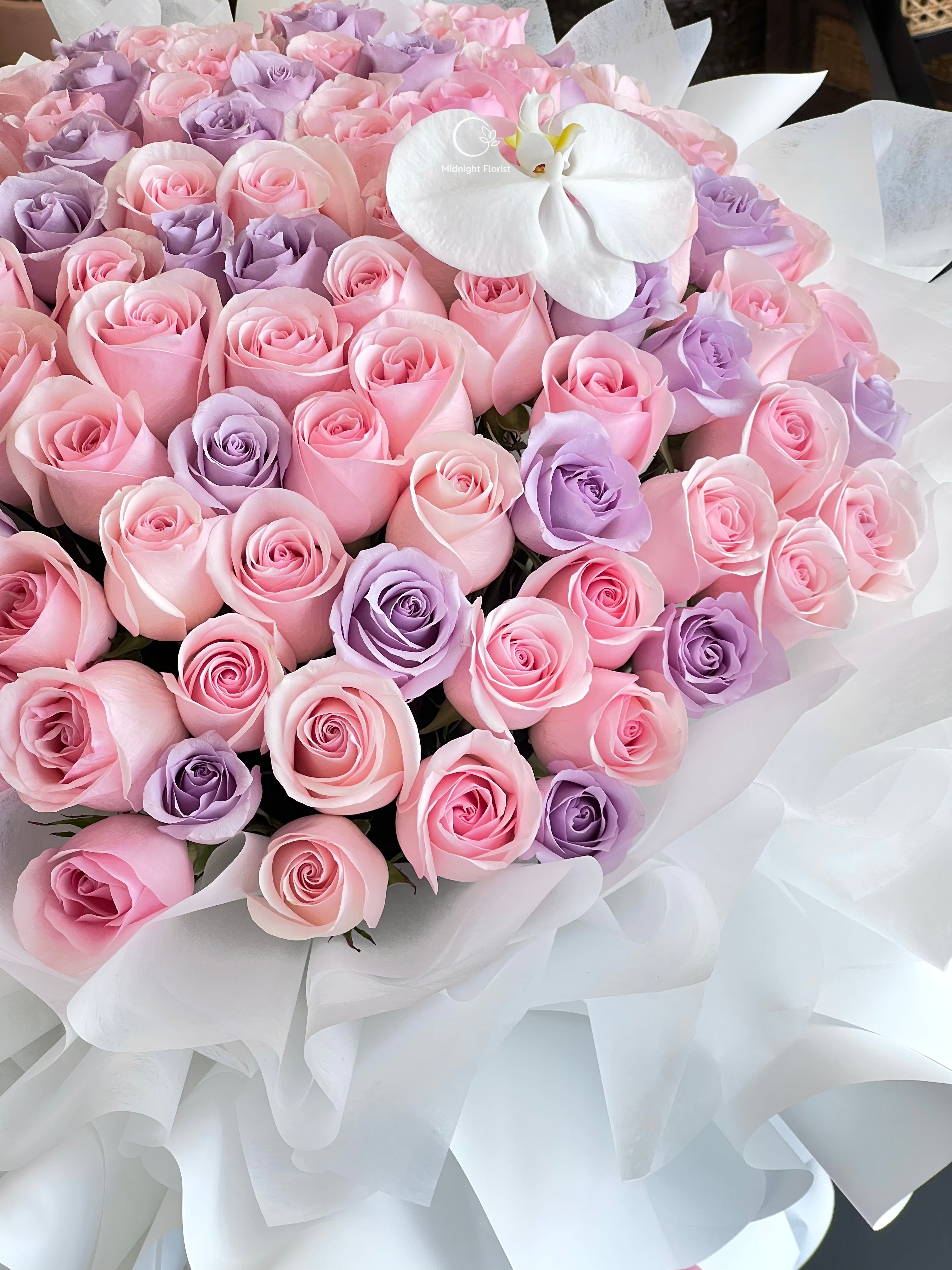 Pastel Dreams