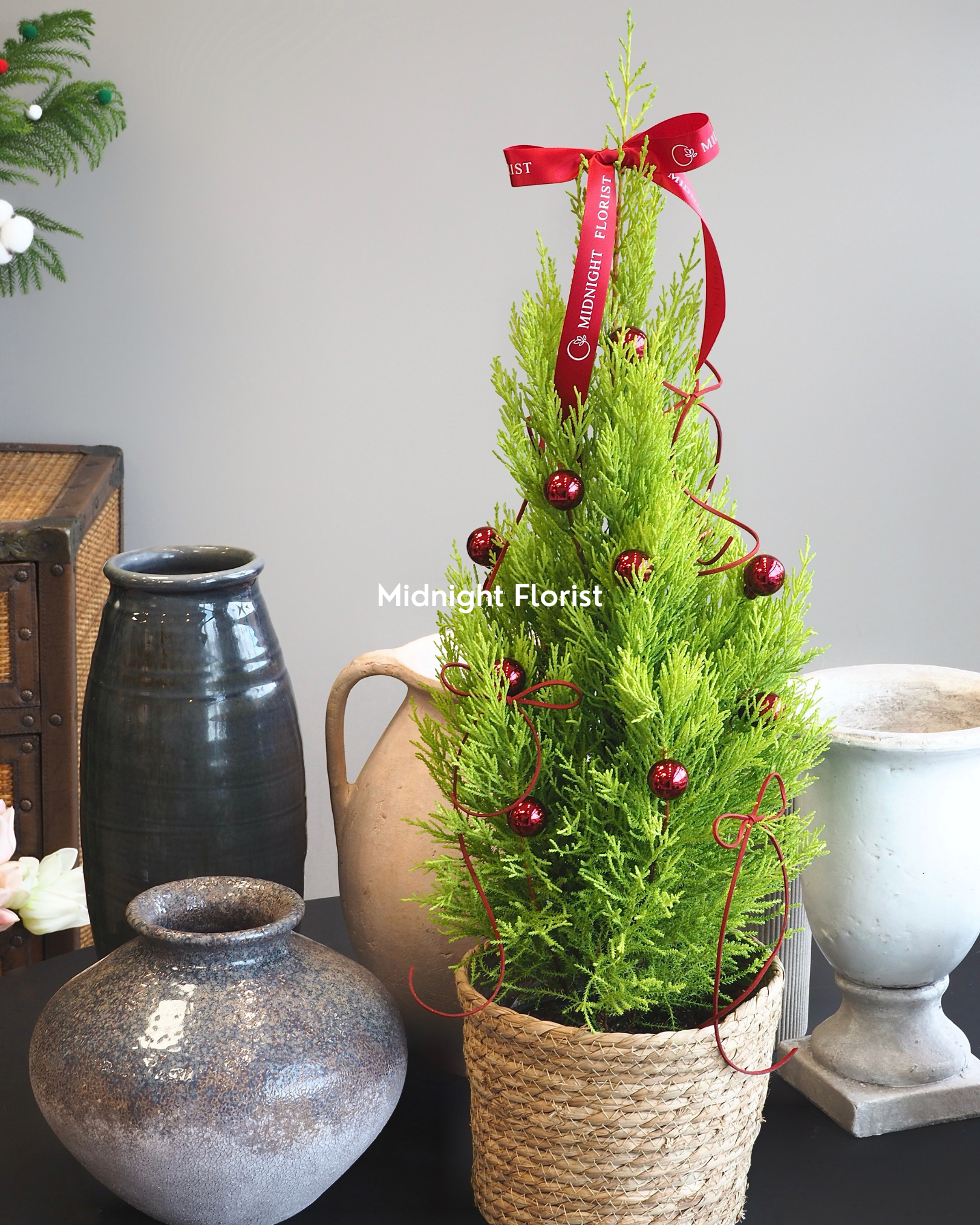 Lemon Cypress - 6" Pot