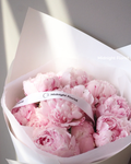 Peony Love