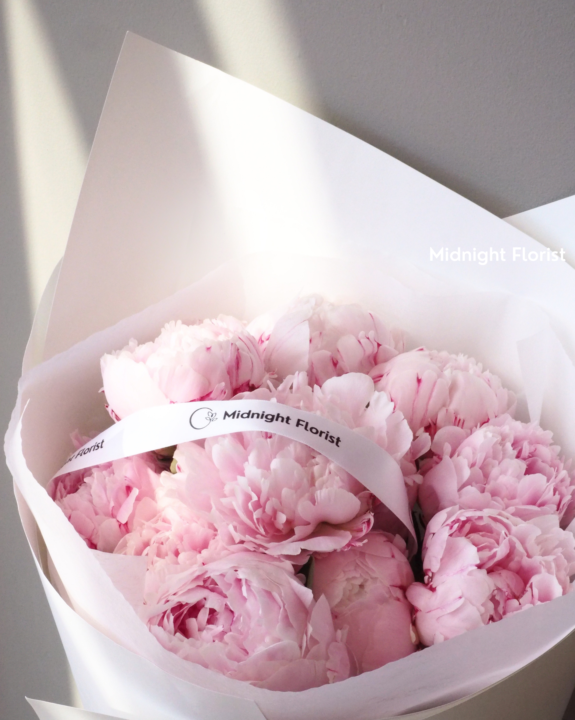 Peony Love