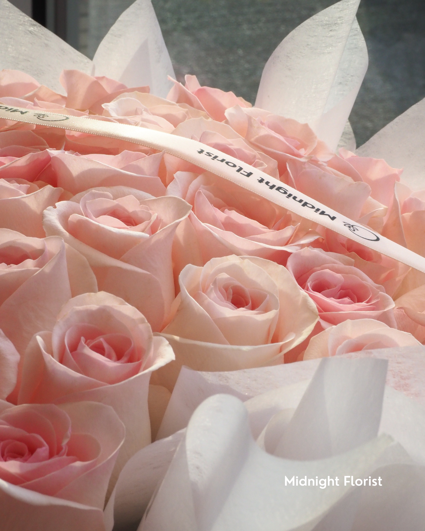 Sweetheart-Pink