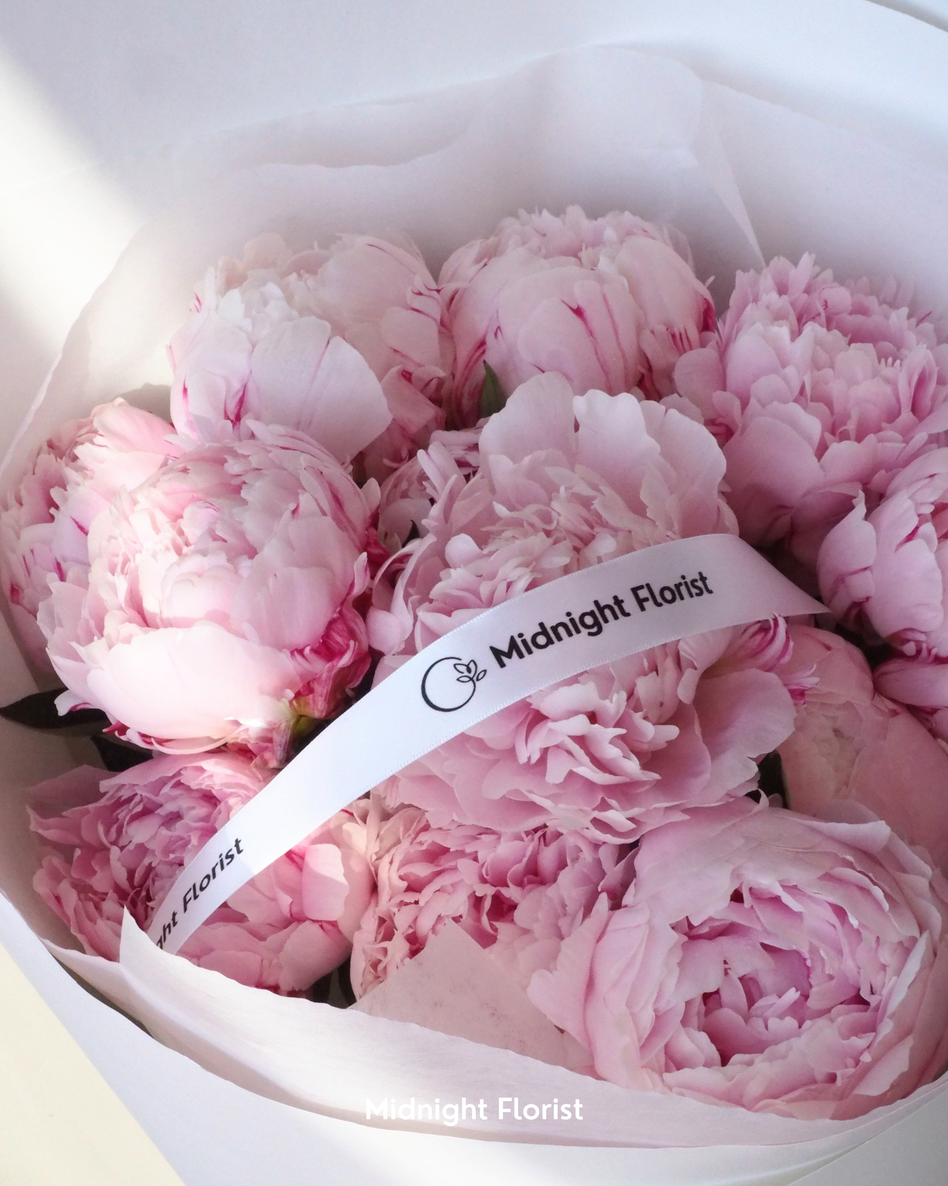 Peony Love