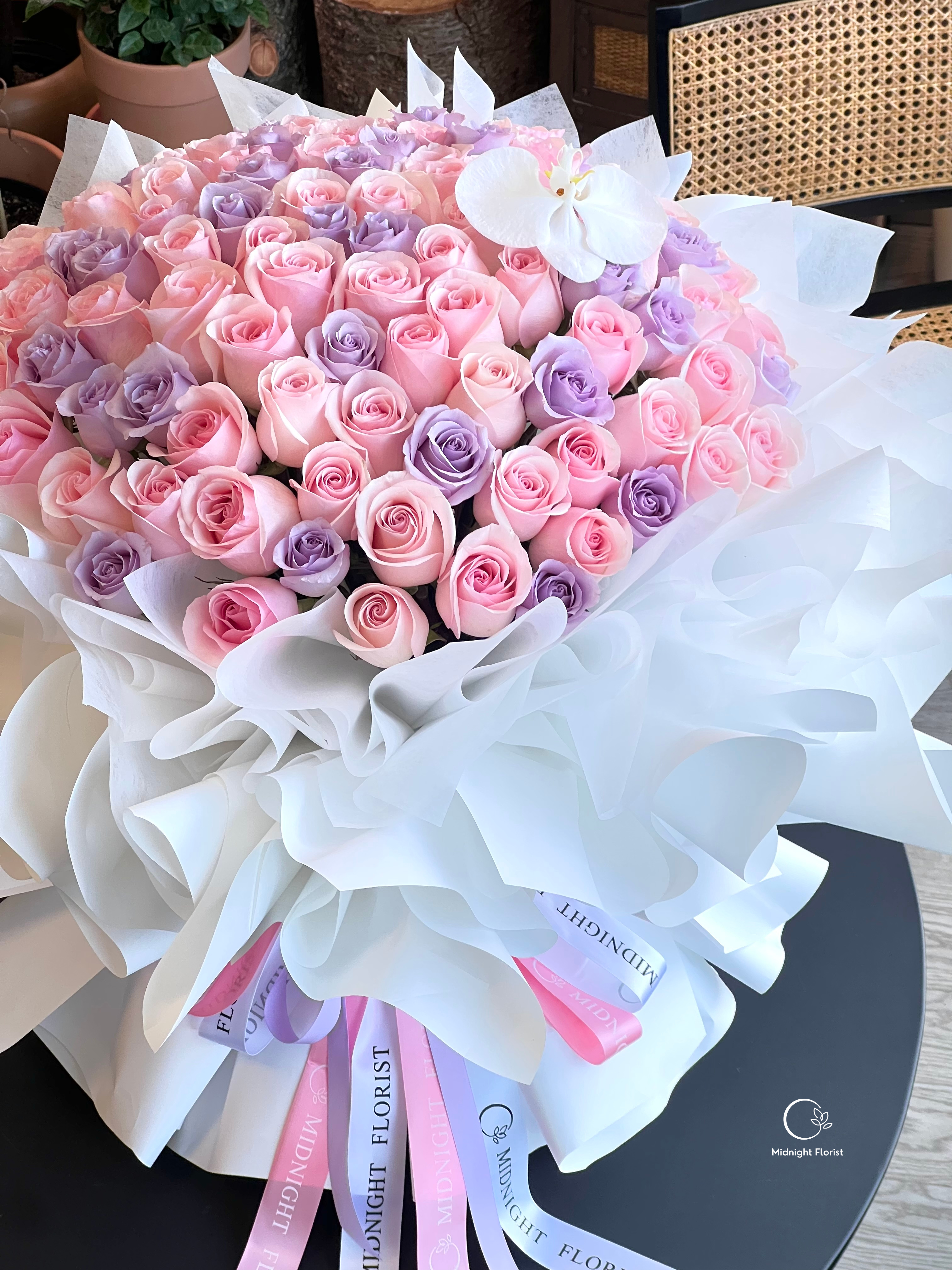 Pastel Dreams