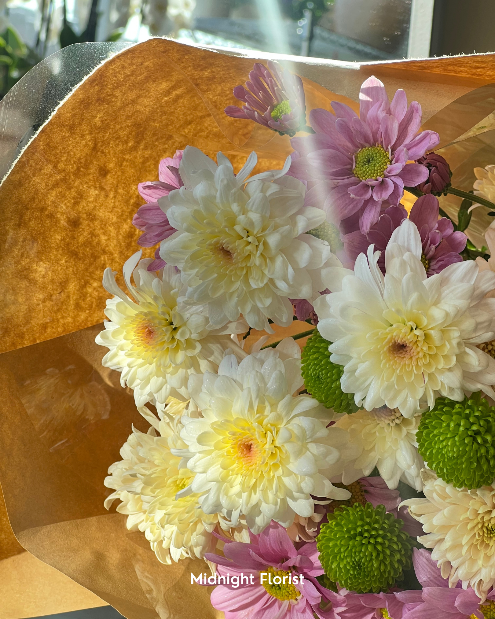 Daisy Bunch