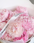 Peony Love