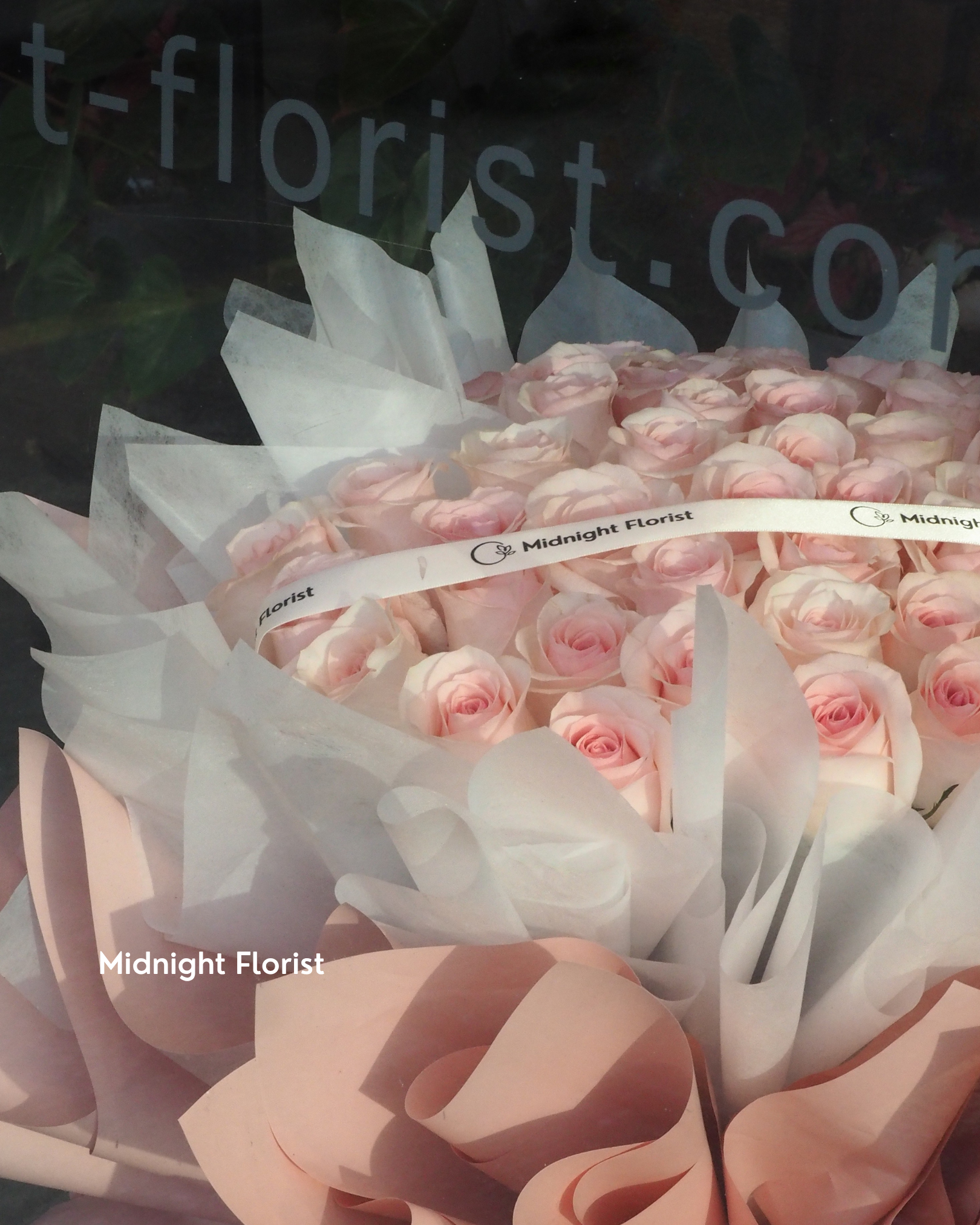Sweetheart-Pink