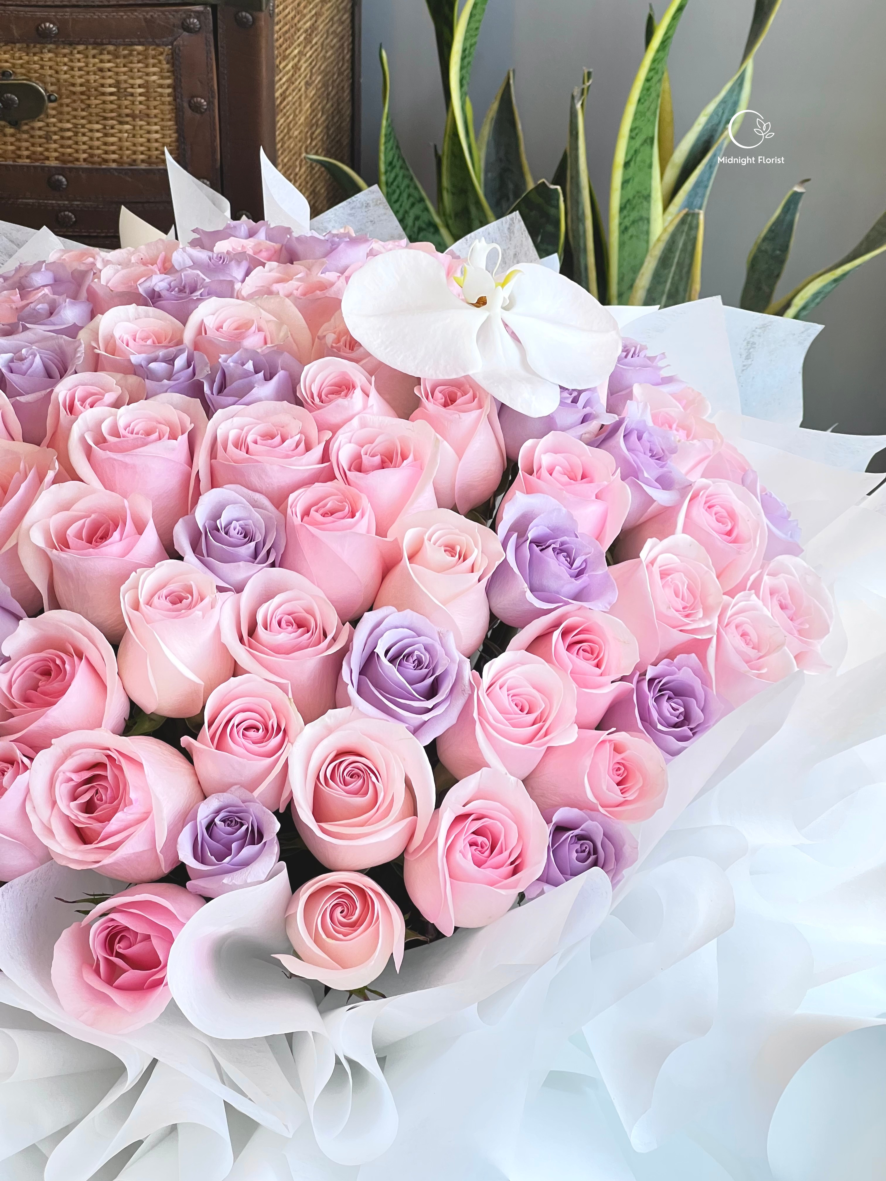 Pastel Dreams