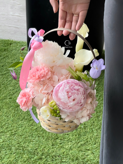 Dreamlight Basket