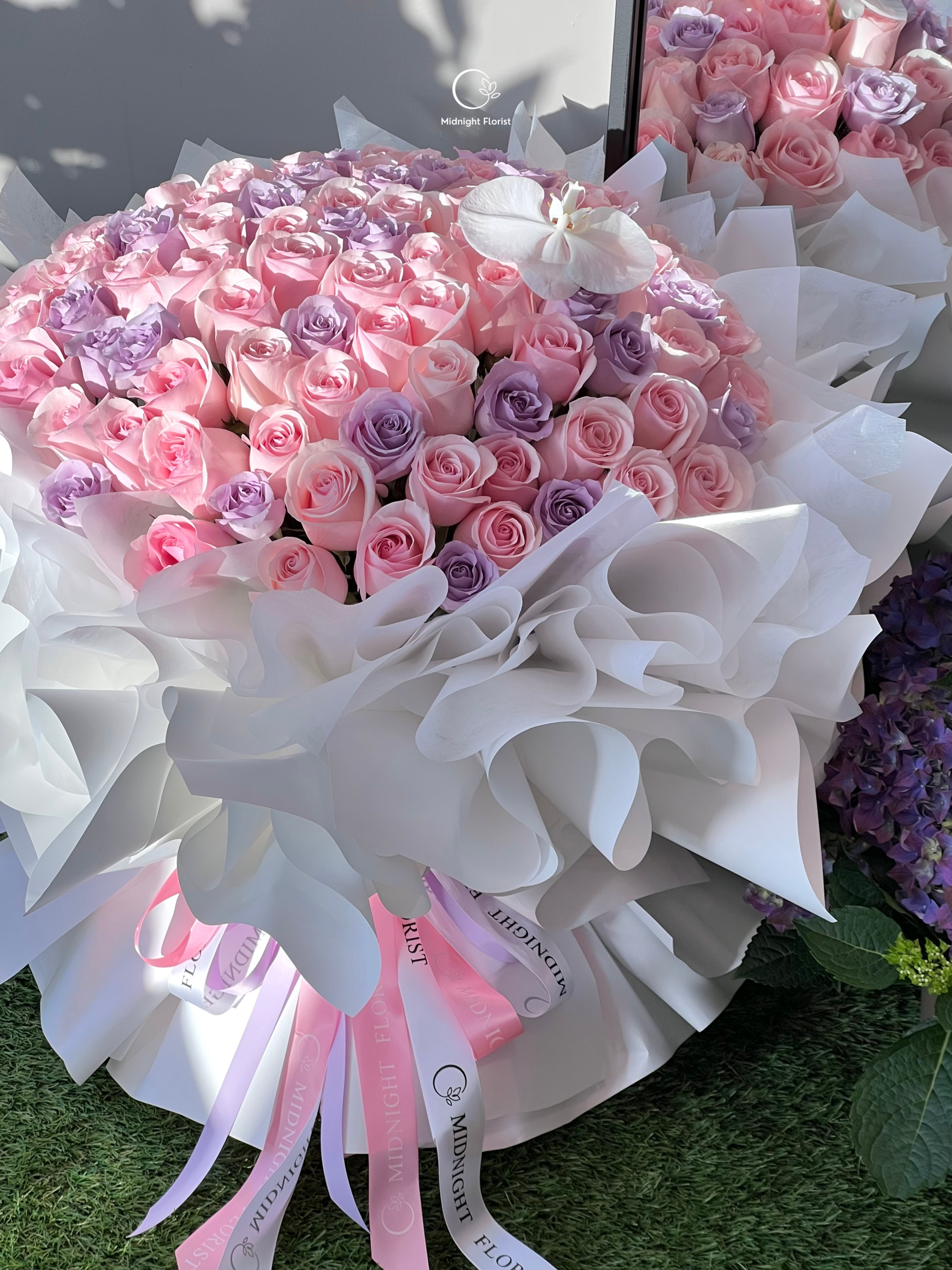 Pastel Dreams
