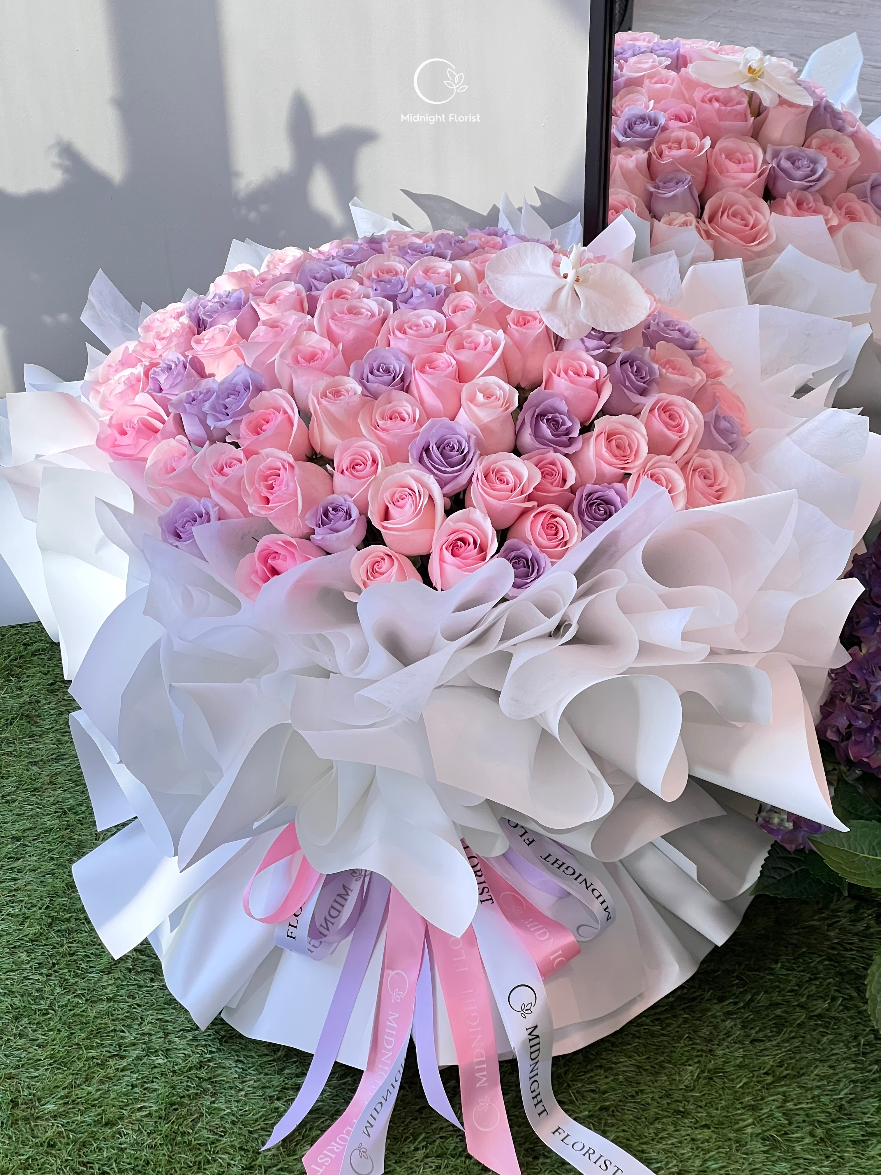 Pastel Dreams