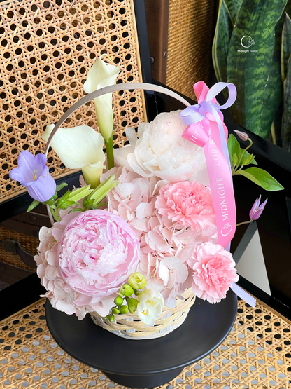 Dreamlight Basket