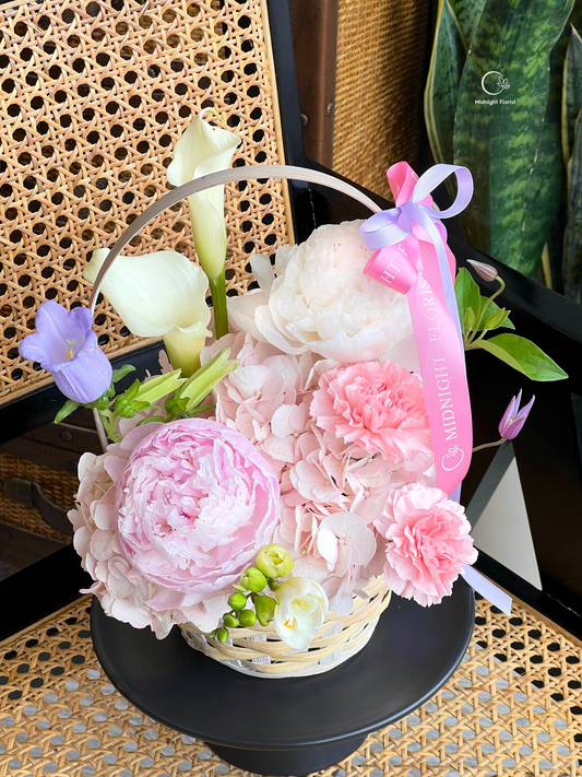 Dreamlight Basket