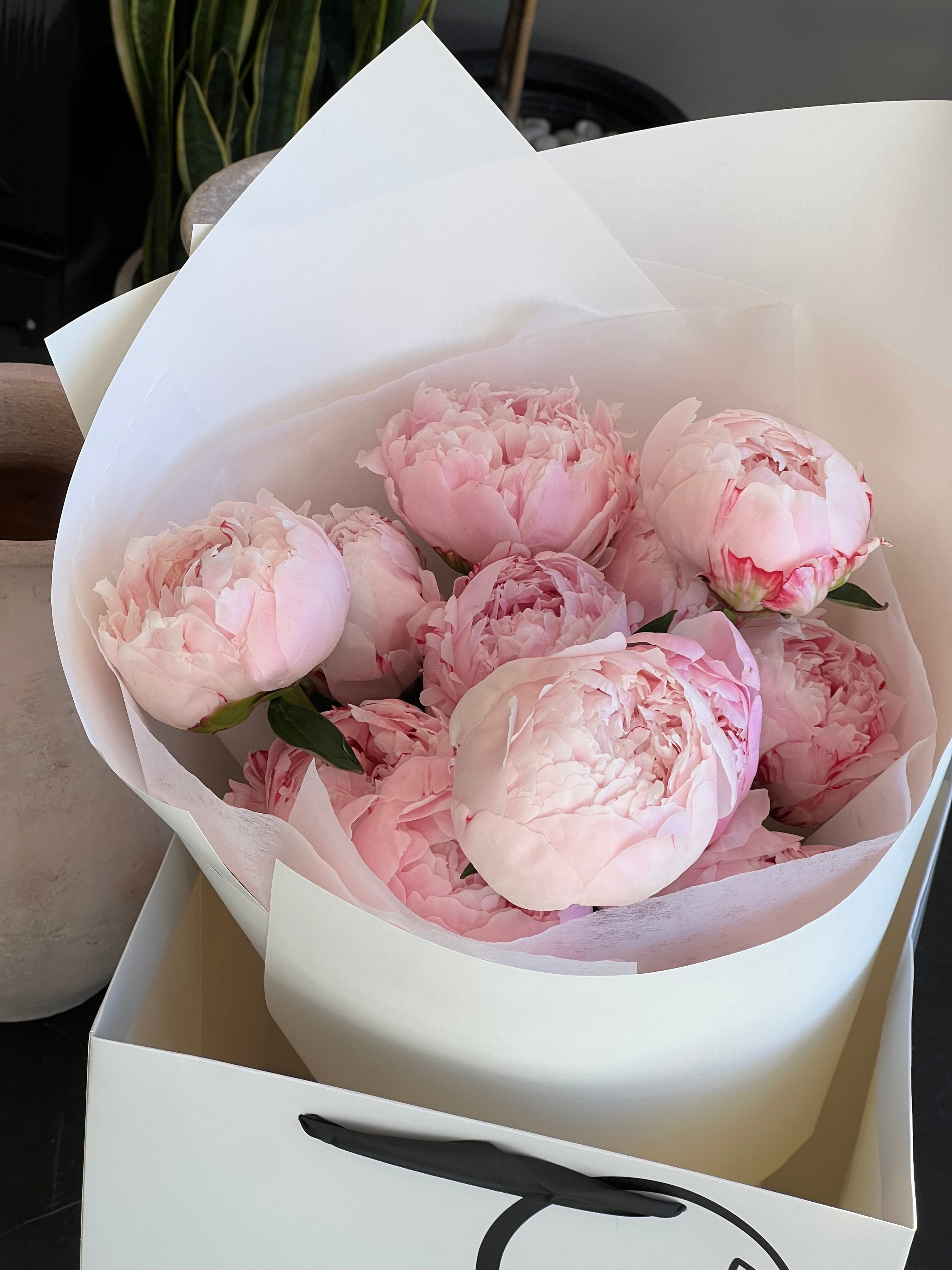Peony Love